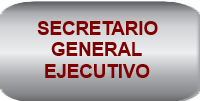 SECRETARIO GENERAL EJECUTIVO